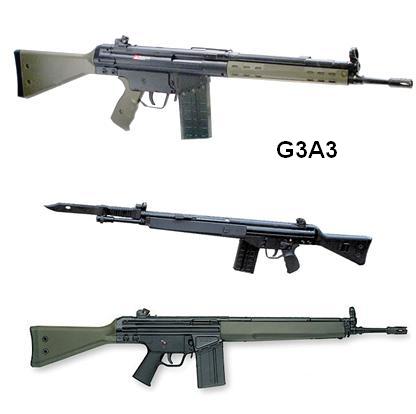 g3a3